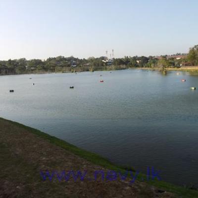 Navy Aqua Golf Driving Range